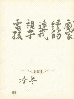 电视连续剧我的孩子我的家封面
