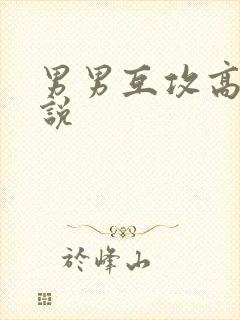 男男互攻高h小说