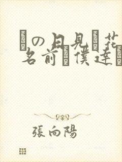 あの日见た花の名前を仆达はまだ知らない