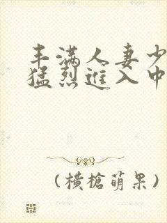 丰满人妻少妇被猛烈进入中文字幕