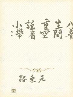 小说 重生八零:带着空间养崽崽