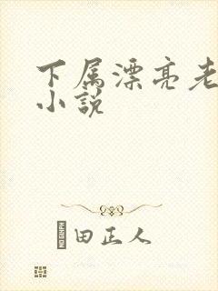 下属漂亮老婆的小说封面