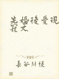 先婚后爱现言甜宠文