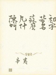 陈凡苏若初小说叫什么名字