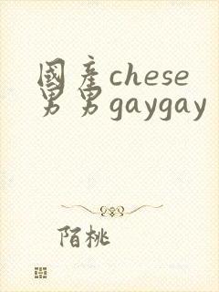 国产chese男男gaygay