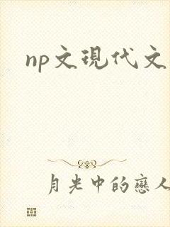 np文现代文
