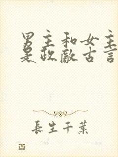 男主和女主父亲是政敌古言