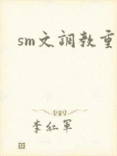 sm文调教重口