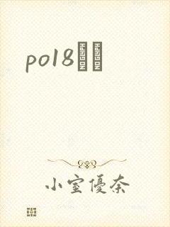 po18С˵封面