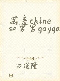 国产chinese男男gaygay网站