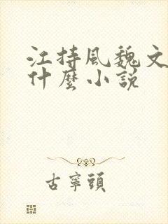 江持风魏文行是什么小说