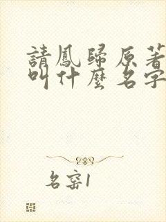 请凤归原著小说叫什么名字