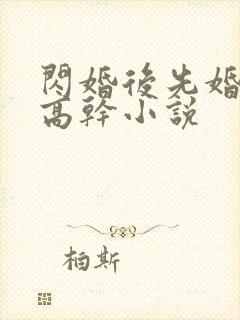 闪婚后先婚后爱高干小说