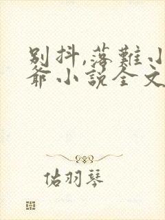 别抖,落难小少爷小说全文免费阅读