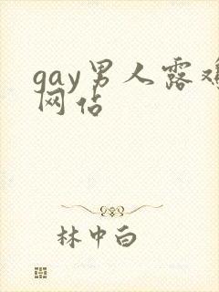 gay男人露鸡网站