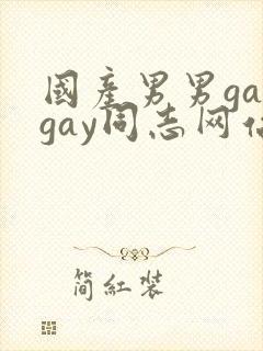 国产男男gaygay同志网站封面