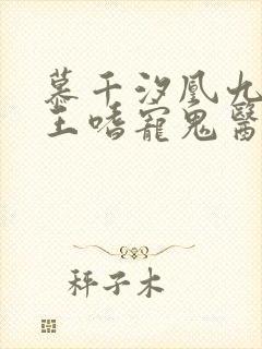 慕千汐凰九夜邪王嗜宠鬼医狂妃封面