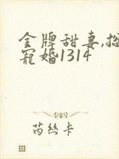 金牌甜妻,总裁宠婚1314