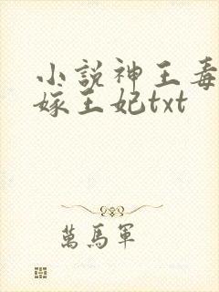 小说神王毒宠二嫁王妃txt