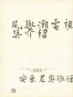 风与潮电视剧分集介绍