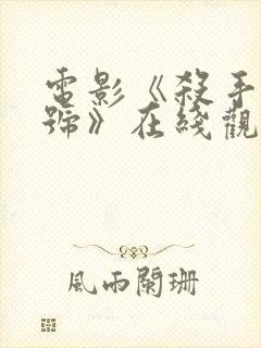 电影《杀手疾风号》在线观看