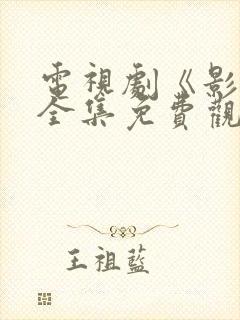 电视剧《影子》全集免费观看高清