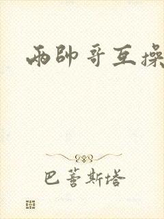 两帅哥互操