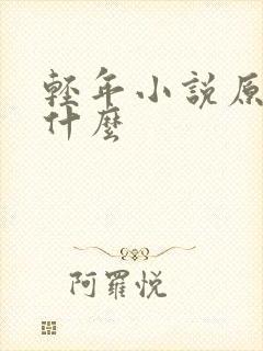 轻年小说原著叫什么封面