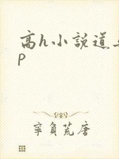 高h小说道具np