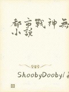 都市战神无双 小说
