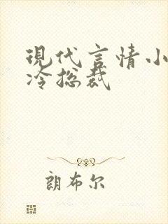 现代言情小说高冷总裁封面