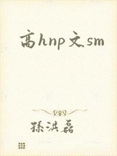 高hnp文sm