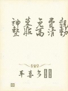 神墓免费观看完整版高清动漫在线