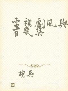 电视剧风与潮共有几集