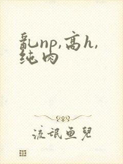 乱np,高h,纯肉封面