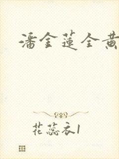 潘金莲全黄淫史