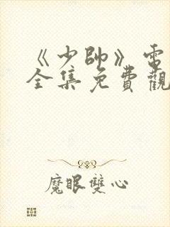 《少帅》电视剧全集免费观看高清