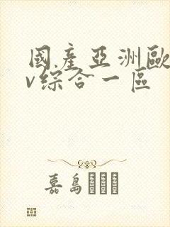 国产亚洲欧洲av综合一区