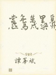 当年万里觅封侯,匹马戍梁州