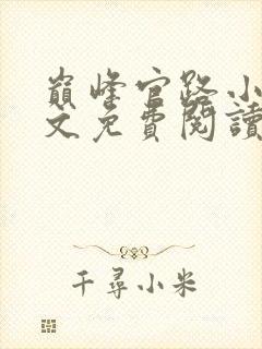 巅峰官路小说全文免费阅读无弹窗