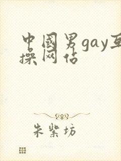中国男gay互操网站
