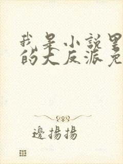 我是小说里共同的大反派免费阅读