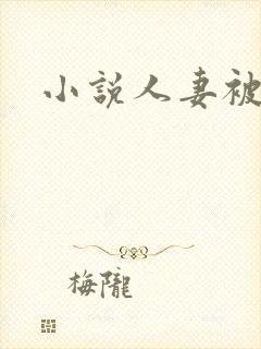 小说人妻被插