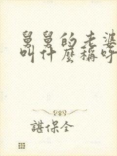 舅舅的老婆应该叫什么称呼呢