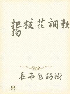 把校花调教成母狗