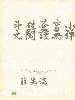 斗破苍穹小说全文阅读无弹窗封面