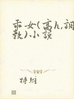 乖女(高h,调教)小说封面