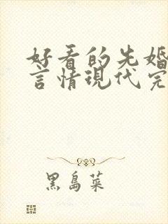 好看的先婚后爱言情现代完结小说封面