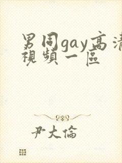 男同gay高清视频一区封面