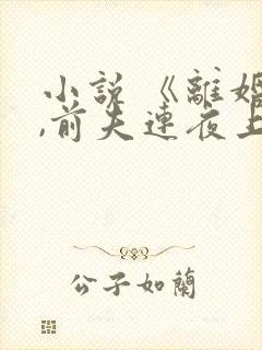 小说 《离婚后,前夫连夜上门求复婚》